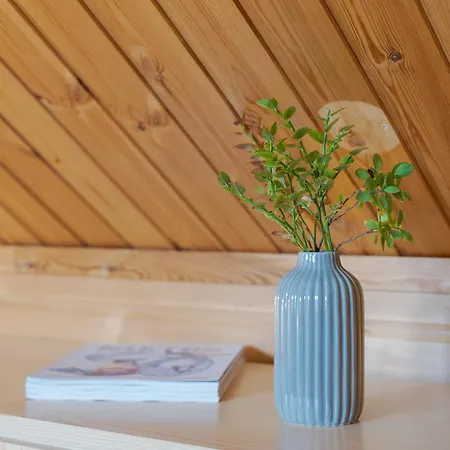 Koto Ski-in Ski-out Hosted By Hygge Host Apartment *