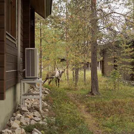 Apartment Koto Ski-in Ski-out Hosted By Hygge Host